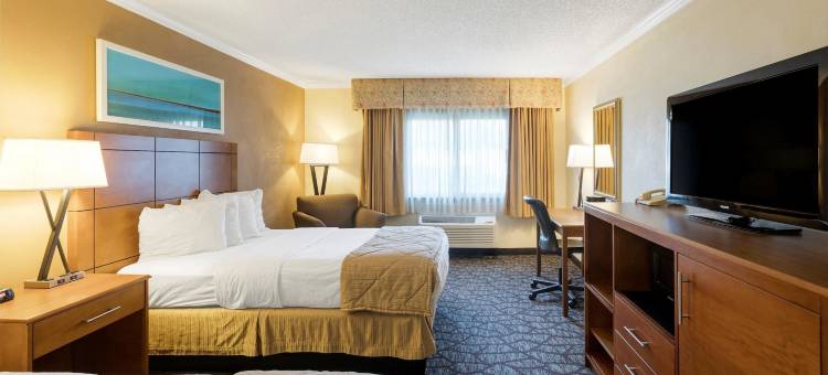 底特律大都会机场克拉丽奥酒店(Clarion Hotel Detroit Metro Airport)图片