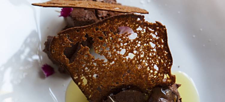 多米尼卡塔之地 - 酒店及酿酒厂(Terra Dominicata - Hotel & Winery)图片