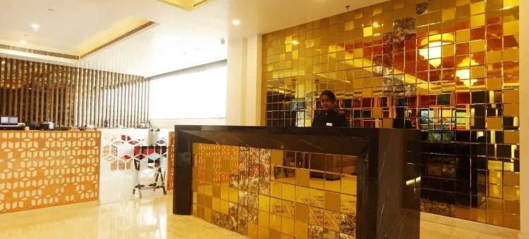 齐普尔通克路戴斯温德姆酒店(Days Hotel by Wyndham Jaipur Tonk Road)图片