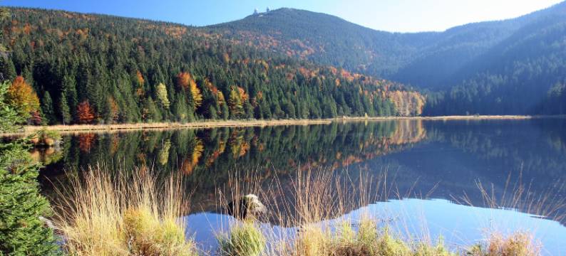 林德酒店(GarniHotel Zur Linde - Bayerischer Wald - Inklusiv AktivCard - Kostenloser Parkplatz)图片