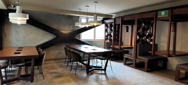 瓜达拉哈拉赛琳娜酒店(Hotel Olá Chapultepec)图片