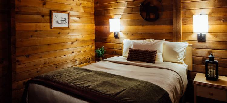 迪纳利小屋旅馆(Denali Cabins)图片