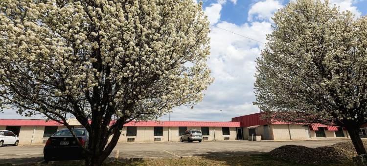 萨莱纳宾馆(Salina Inn)图片