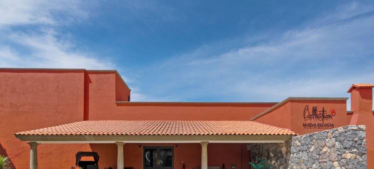 新斯科舍精品酒店普埃布拉(Nueva Escocia Boutique Hotel Puebla)图片