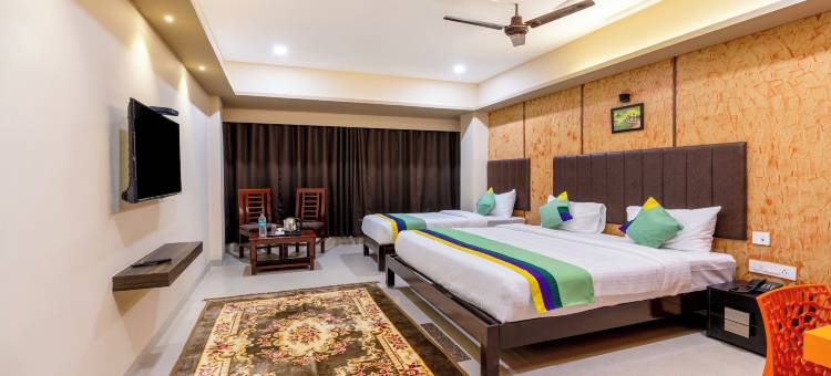 Treebo D Grand图片