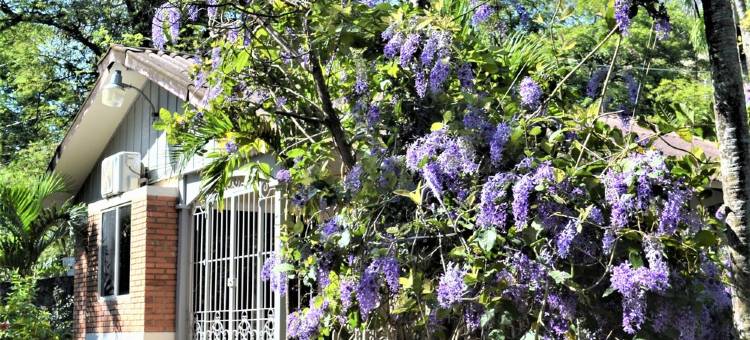 La Casita Private garden view beachfront图片