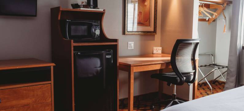 阿普尔顿市中心AmericInn酒店(Americinn by Wyndham Appleton Downtown)图片