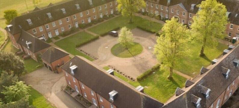 布莱思维的藏红花(Saffron, Blythview)图片