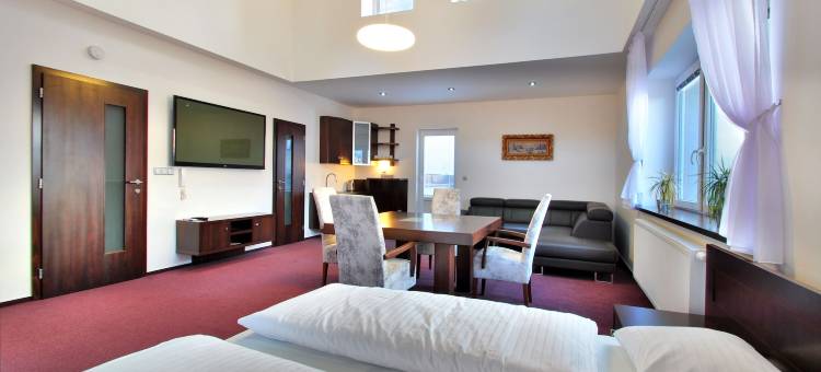 帕拉克酒店(Hotel Palác)图片