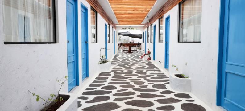 仙人掌酒店(Cactus)图片