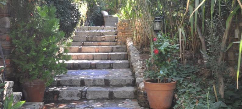 艾维诺酒店(El Vino Hotel & Suites)图片