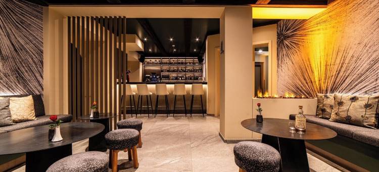阿拉林酒店 萨斯费(Hotel Allalin Saas-Fee)图片