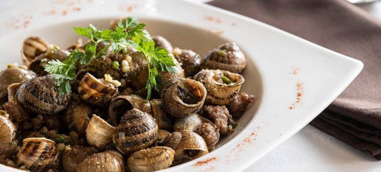 罗吉斯酒店餐厅勒帕达扬(Logis Hôtel & Restaurant le Pardaillan)图片