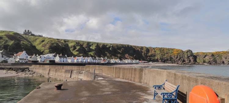 劳雷尔斯(The Laurels)图片