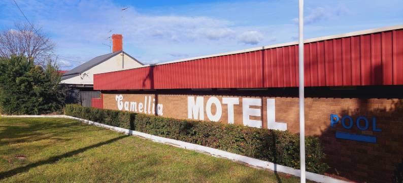 茶花汽车旅馆(Camellia Motel)图片