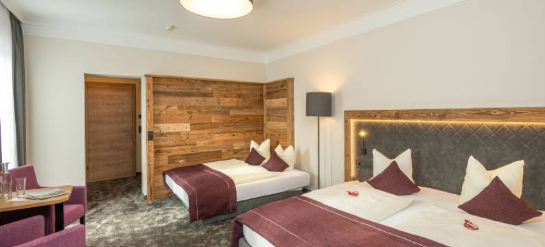 斯特格布劳(Hotel Stegerbräu)图片