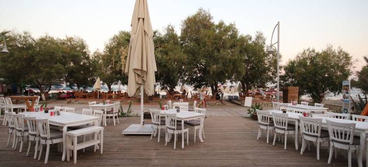 梅格斯博德卢姆海滩酒店(Meggs Bodrum Beach Hotel)图片