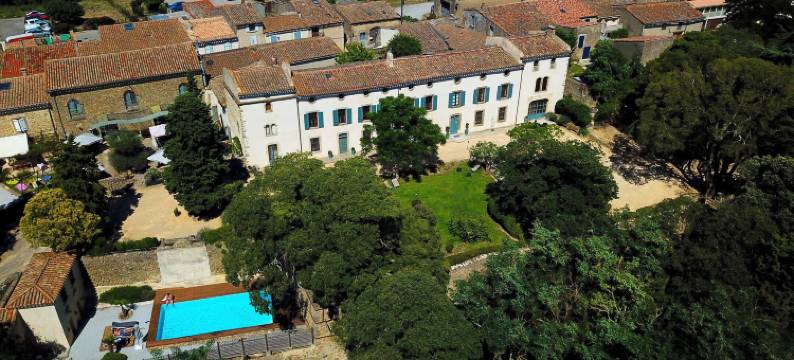帕拉亚城堡酒店(Logis Hôtel Château de Palaja)图片