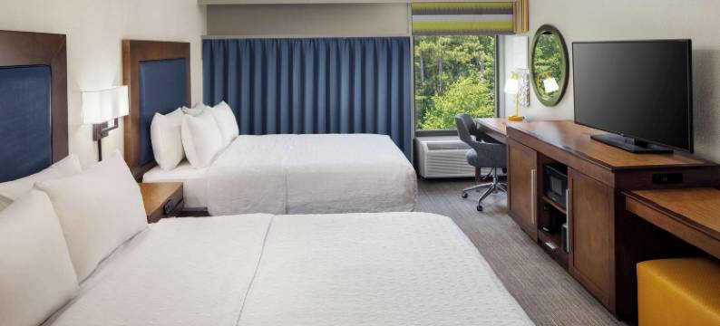 亚特兰大北湖欢朋酒店(Hampton Inn Atlanta-Northlake)图片