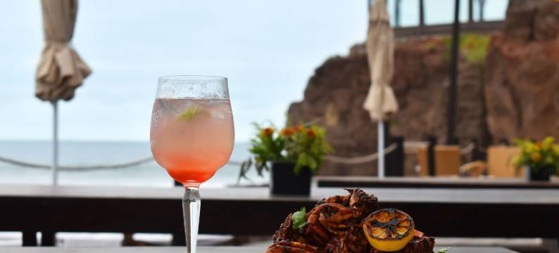 卡斯蒂约斯德尔马尔酒店(Castillos Del Mar)图片