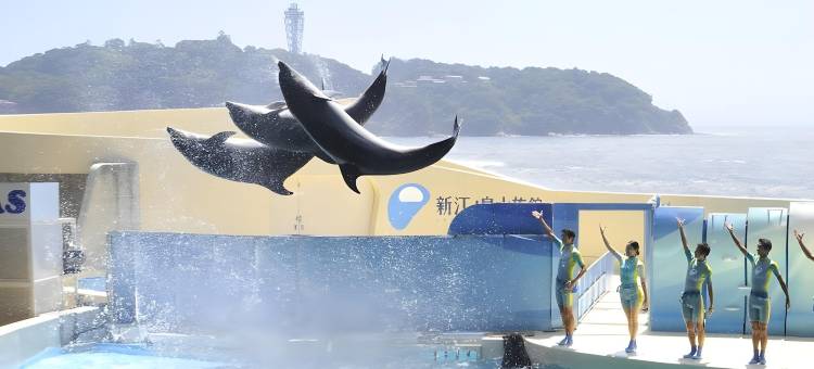 深呼吸酒店(Breath Hotel)图片