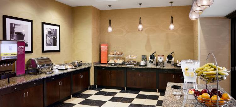 芒特普罗佩特欢朋套房酒店(Hampton Inn & Suites Chicago/Mt. Prospect)图片