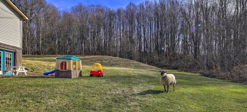 宠物友好之家 w/ 烤架和农场在梅多维尤！(Pet-Friendly Home with Grill and Farm in Meadowview!)图片