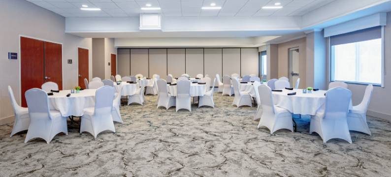 坦帕西北奥尔兹马希尔顿花园酒店(Hilton Garden Inn Tampa Northwest/Oldsmar)图片