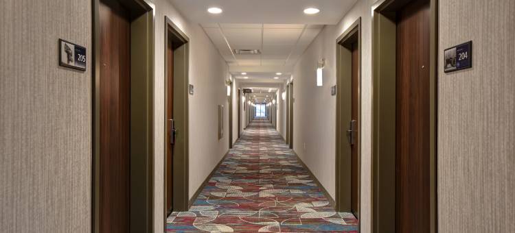 普莱森特维尤欢朋酒店(Hampton Inn by Hilton Pleasant View)图片