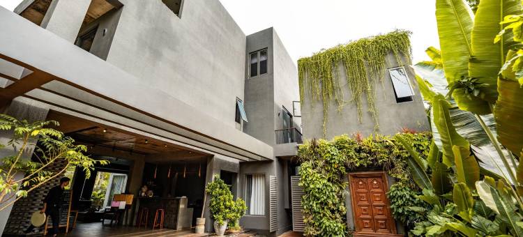 波希米亚巢穴(Bohemian Nest)图片