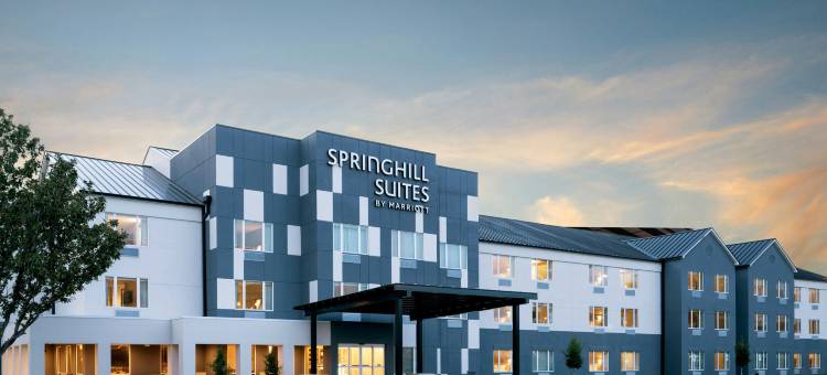 休斯顿布鲁克哈罗万豪SpringHill酒店(SpringHill Suites Houston Brookhollow)图片