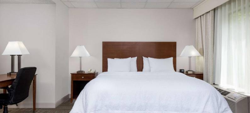 希尔顿欢朋酒店-奇斯韦尔堡马克斯梅多斯(Hampton Inn Ft. Chiswell-Max Meadows)图片