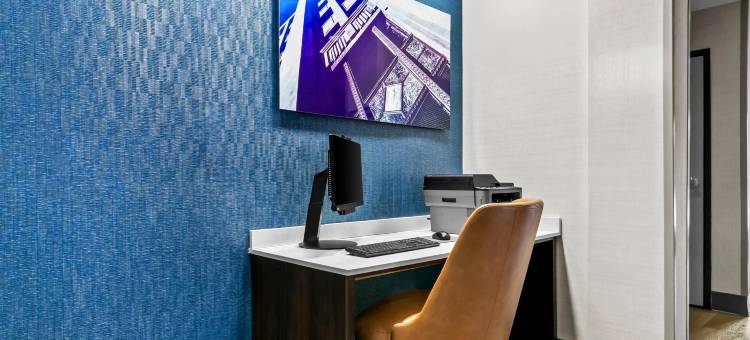 舒适套房酒店大布兰克/弗林特(Comfort Inn & Suites Grand Blanc-Flint)图片