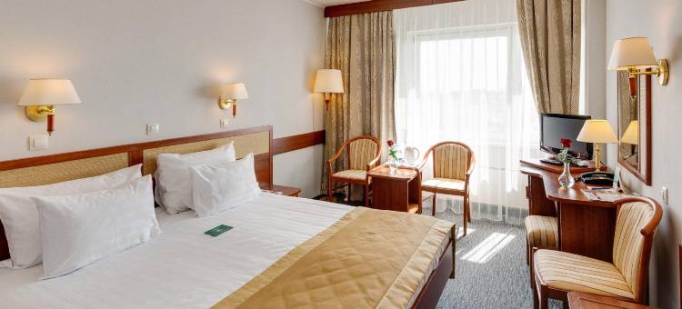 维嘉伊兹麦洛瓦酒店和会议中心(Vega Izmailovo Hotel)图片