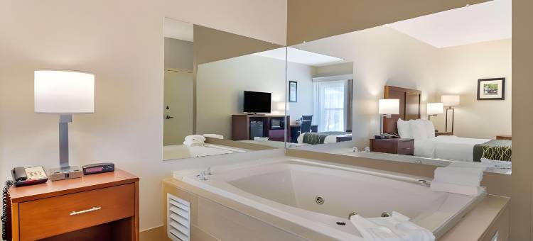 道格拉斯维尔舒适酒店(Comfort Inn Douglasville - Atlanta West)图片