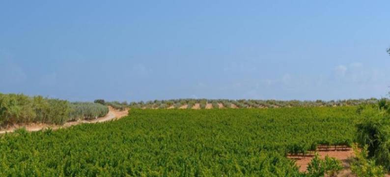 Apartment in Montilla near Palacio Medinaceli图片