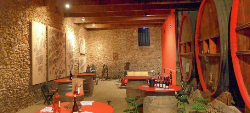 Holiday Home in Murviel with French Garden图片