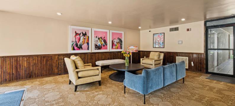 弗朗西斯酒店(Hotel Francis)图片