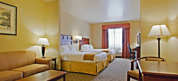 莱弗兰智选假日酒店(Holiday Inn Express & Suites Levelland)图片