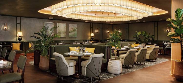 Montcalm Mayfair, Autograph Collection图片