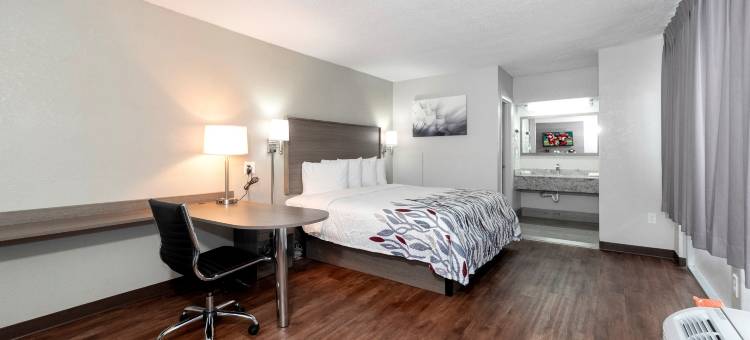 彼特斯堡-李堡红顶酒店(Red Roof Inn Petersburg - Fort Lee)图片