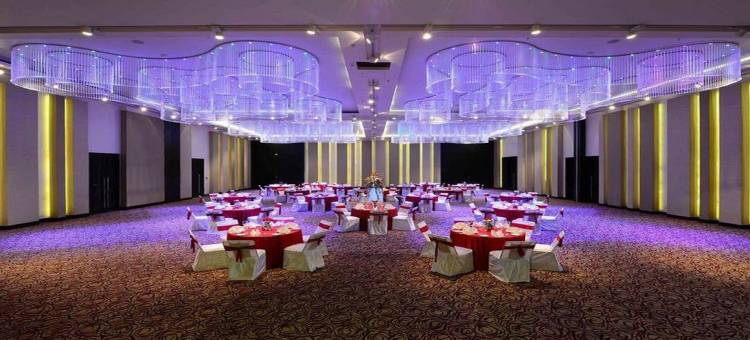 拉普萨亚吉酒店(Sayaji Raipur)图片