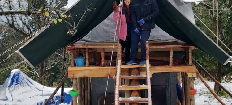 橡树景露营地(Camp Oak View)图片