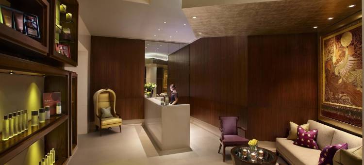 新德里的里拉皇宫酒店(The Leela Palace New Delhi)图片