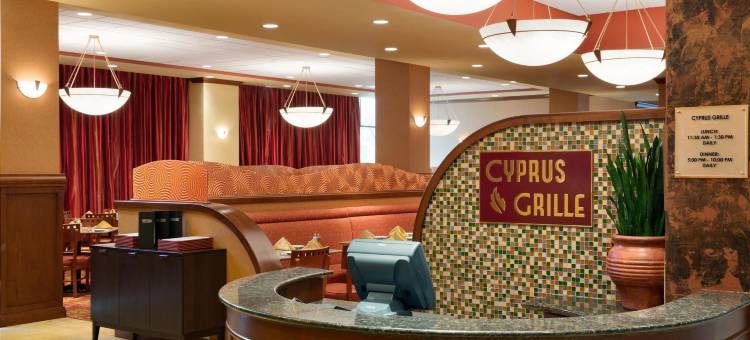 达拉斯弗赖拉辛希尔顿安泊水疗酒店&会议中心(Embassy Suites by Hilton Dallas Frisco Hotel & Convention Center)图片