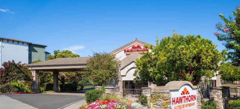 纳帕谷温德姆浩枫套房酒店(Hawthorn Suites by Wyndham Napa Valley)图片