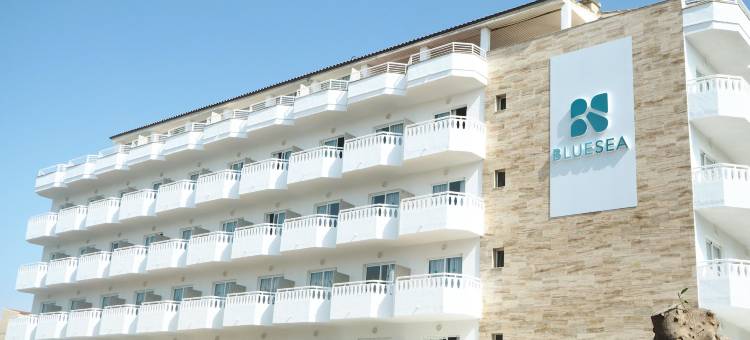 蓝海唐海梅(Bluesea Don Jaime)图片