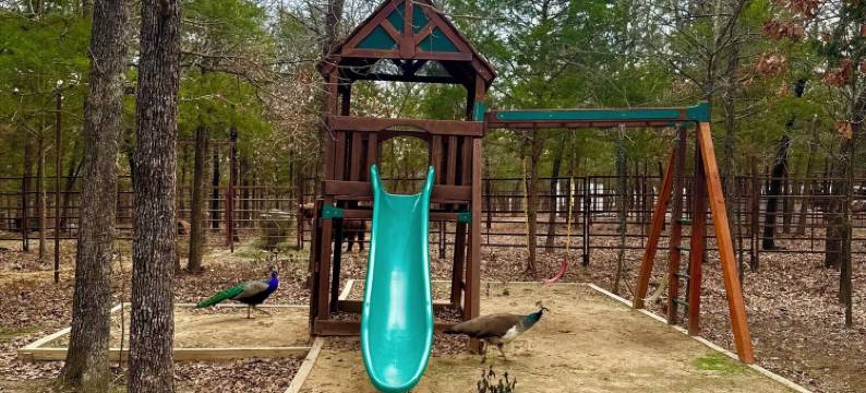 橡树草甸牧场(Oak Meadow Ranch)图片