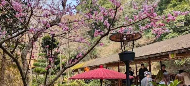 高尾山观光酒店(Takao Kanko Hotel)图片