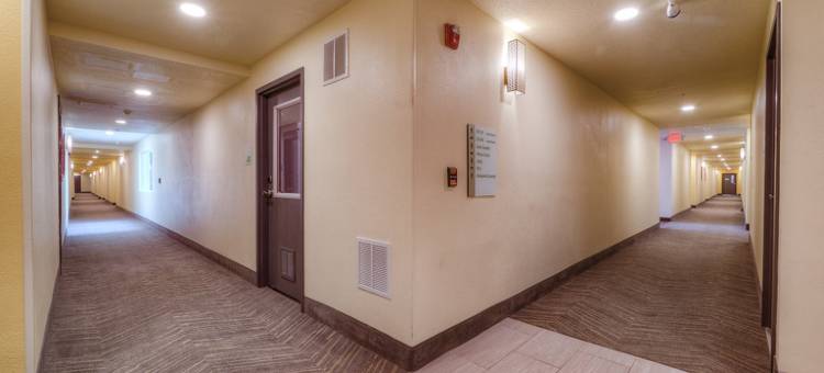 塔科马购物中心假日酒店(Holiday Inn TACOMA MALL by IHG)图片